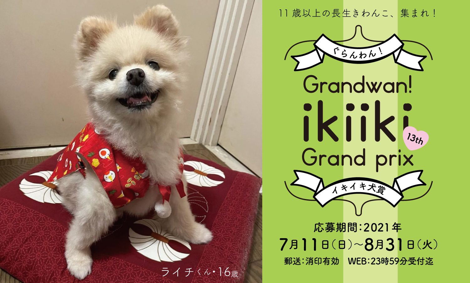 第13回 21年イキイキ犬賞募集開始 ぐらんわん 第13回 21年イキイキ犬賞募集開始 ぐらんわん