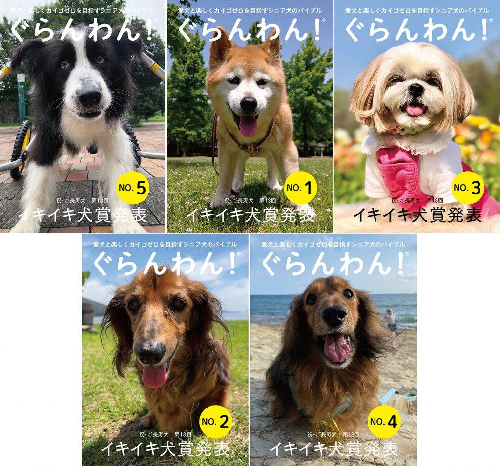 21イキイキ犬賞 授賞犬発表 ぐらんわん