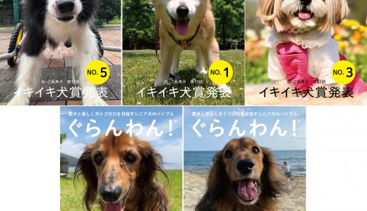 2021イキイキ犬賞　授賞犬発表