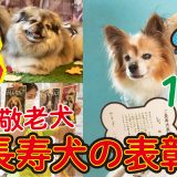 2022イキイキ犬賞表彰式