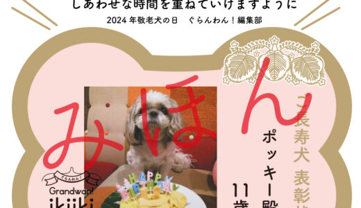 第16回イキイキ犬賞　表彰状ダウンロード