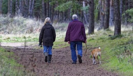 猫、鳥、魚ではなく犬との生活が死亡リスクを抑制