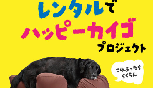 犬用グッズのレンタルサービスでHappy介護プロジェクト