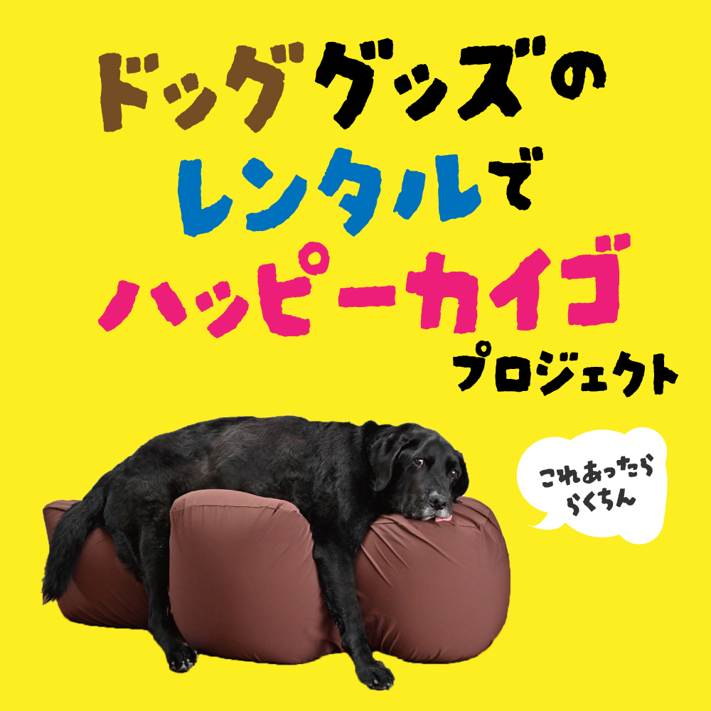 犬用グッズのレンタルサービスでHappy介護プロジェクト | 老犬・シニア