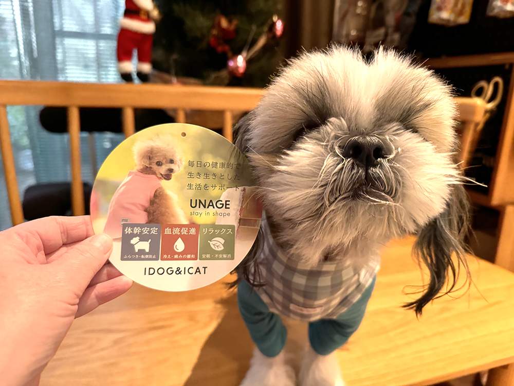 ブランド犬服　まとめ売り　14点 ブランド犬服 まとめ売り 14点