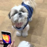 【独占取材】忙しい飼い主さん必見！ 新・温活犬服