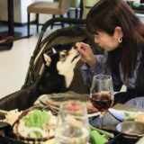 西伊豆の愛犬と泊まれる温泉旅館のペット宿が5大特典付きプラン