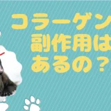 犬猫用コラーゲン「あしたも走ろっ。」に副作用はあるの？