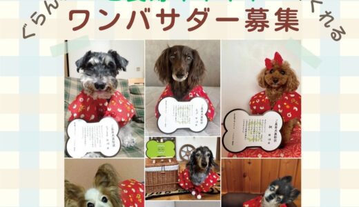 第２期ご長寿イキイキワンバサダー募集！