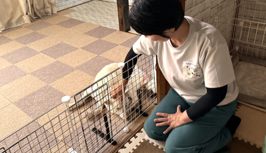 【群馬県前橋市】に誕生「くっきぃホーム」——人のケアマネが始めたシニア犬・要介護犬専用ホテルとは？