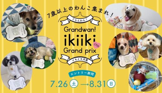 ご長寿犬表彰｜イキイキ犬賞エントリー2025