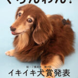 ぐらんわん！最新号VOL.61発行