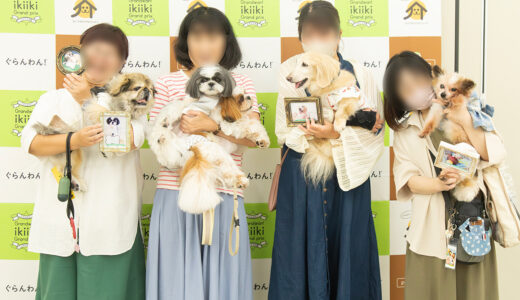 18歳でも元気に！長寿犬に共通する3つの習慣とは？