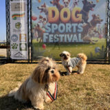 犬と飼い主が一緒に楽しむ新イベント「わんスポ」体験レポ｜ドッグスポーツで愛犬との絆を深める方法