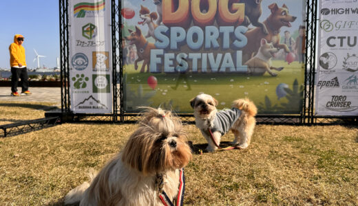 犬と飼い主が一緒に楽しむ新イベント「わんスポ」体験レポ｜ドッグスポーツで愛犬との絆を深める方法