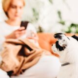 ぐらんわん！大学｜YouTube メンバーシップ（サブスク配信）のご案内