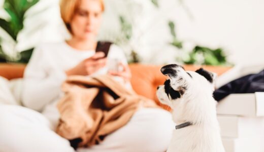 ぐらんわん！大学｜YouTube メンバーシップ（サブスク配信）のご案内