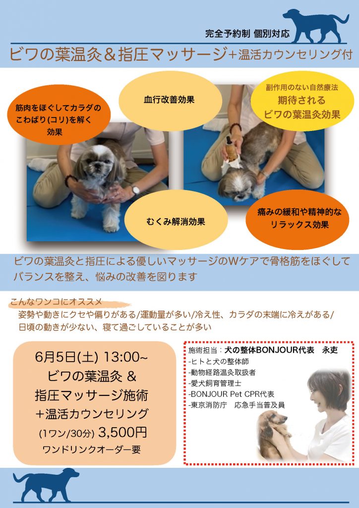 犬の介護ゼロを目指す体験型ドッグカフェ Meetぐらんわん